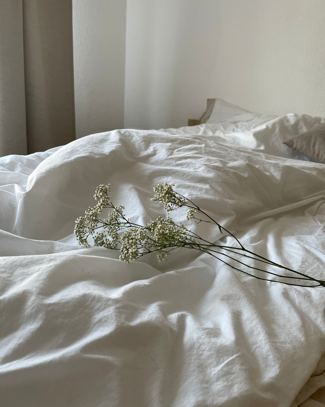 Transform Your Morning in 2026: 3 Simple Moves for a Better Start