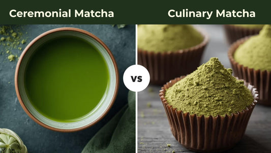 Ceremonial vs Culinary Matcha: What’s the Difference?